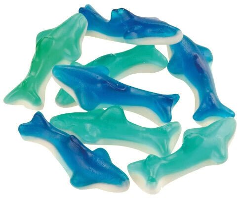 Trolli シャーク グミキャンディ - ナショナルマート通販